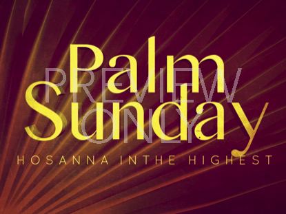 Radiant Palms Still 1