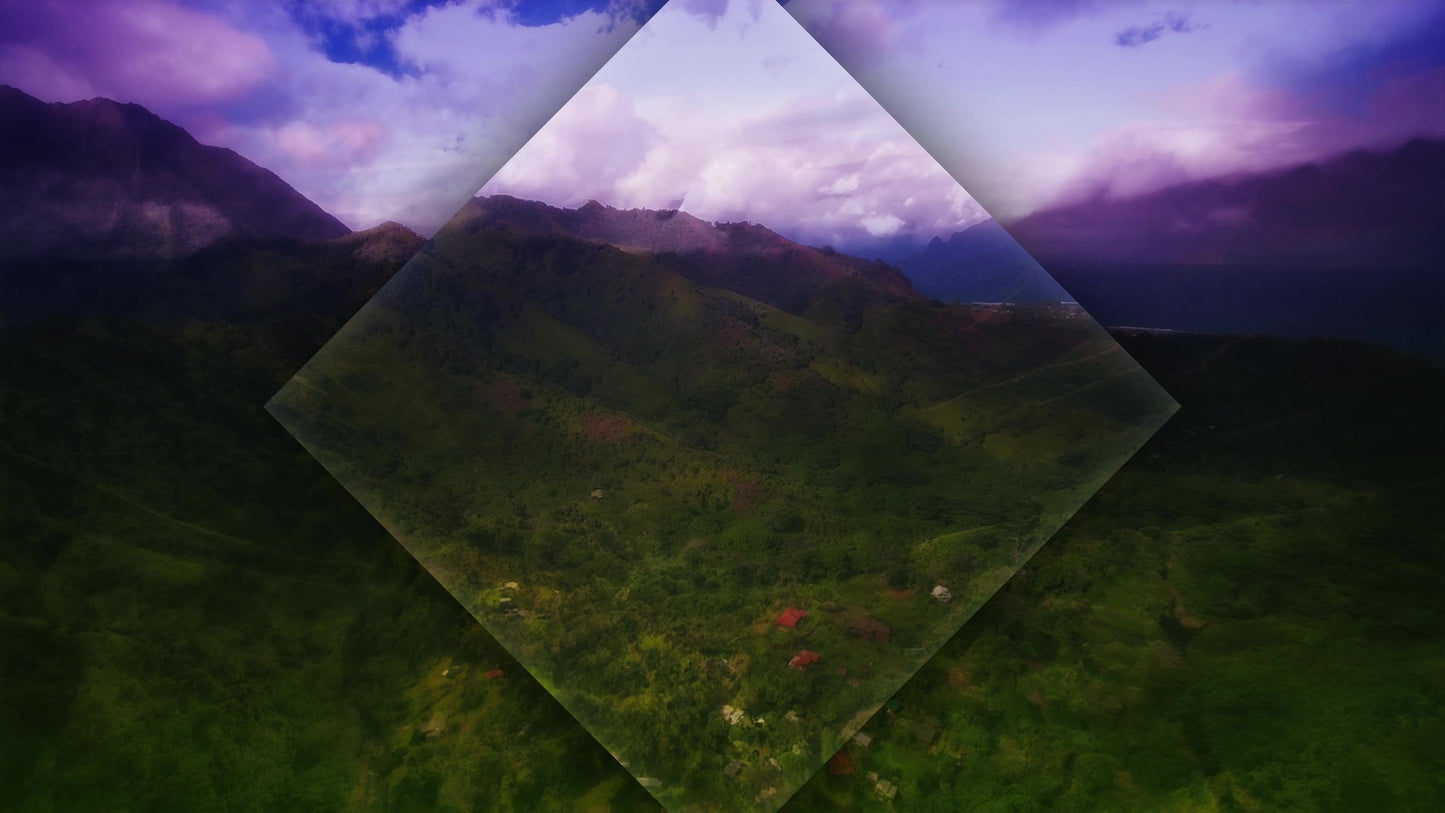 The Hills Valley Still