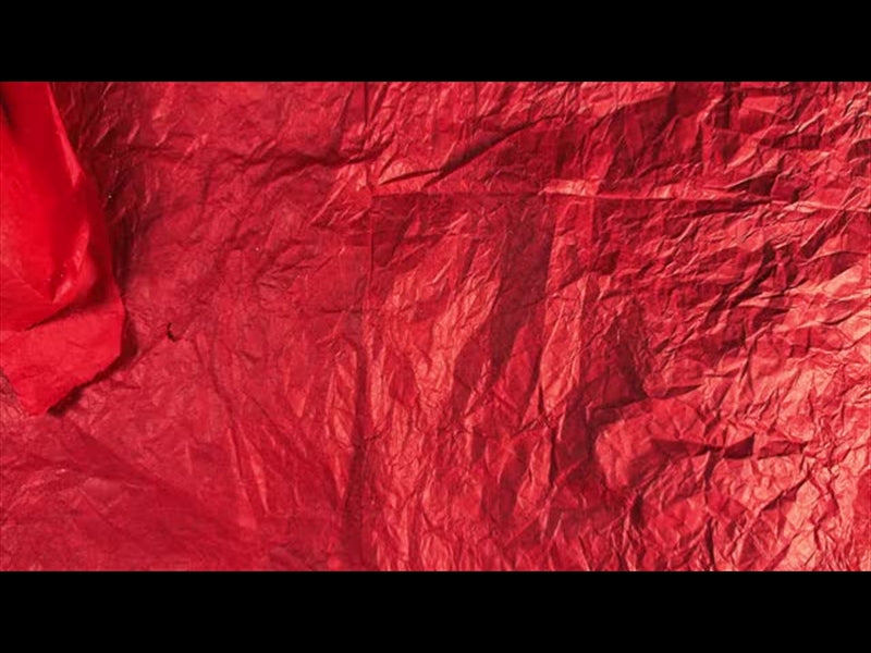 Christmas Stop Motion Dust 8