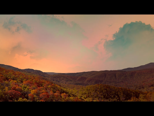 Wilderness Fall 14