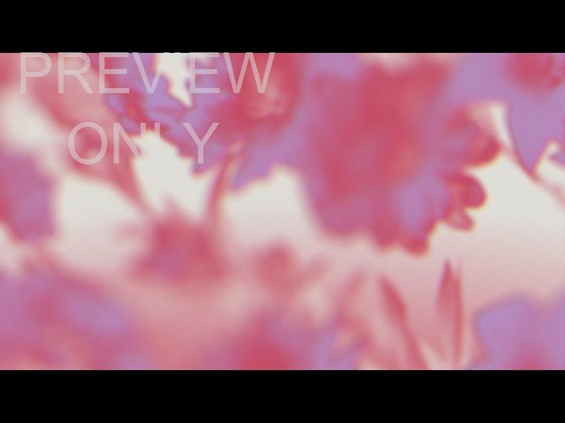 Made Beautiful Still 05