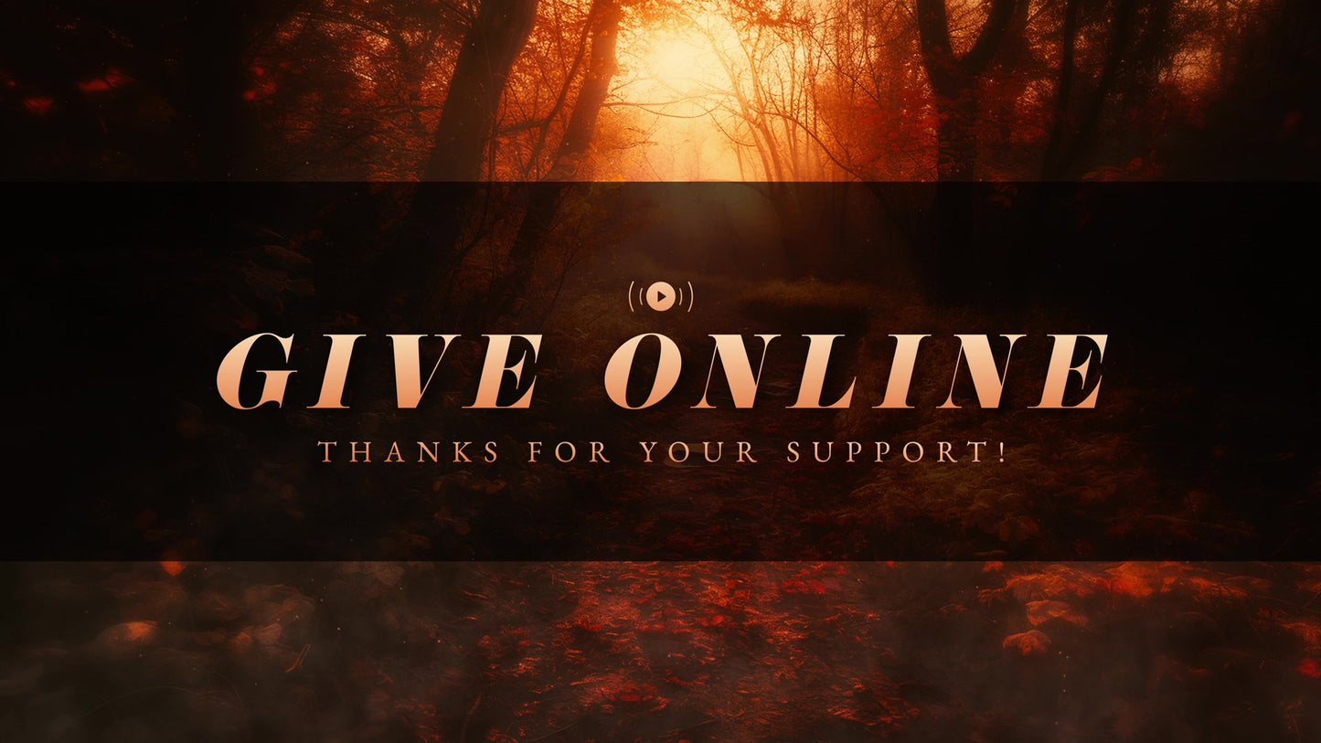 Autumn Path Give Stream Still