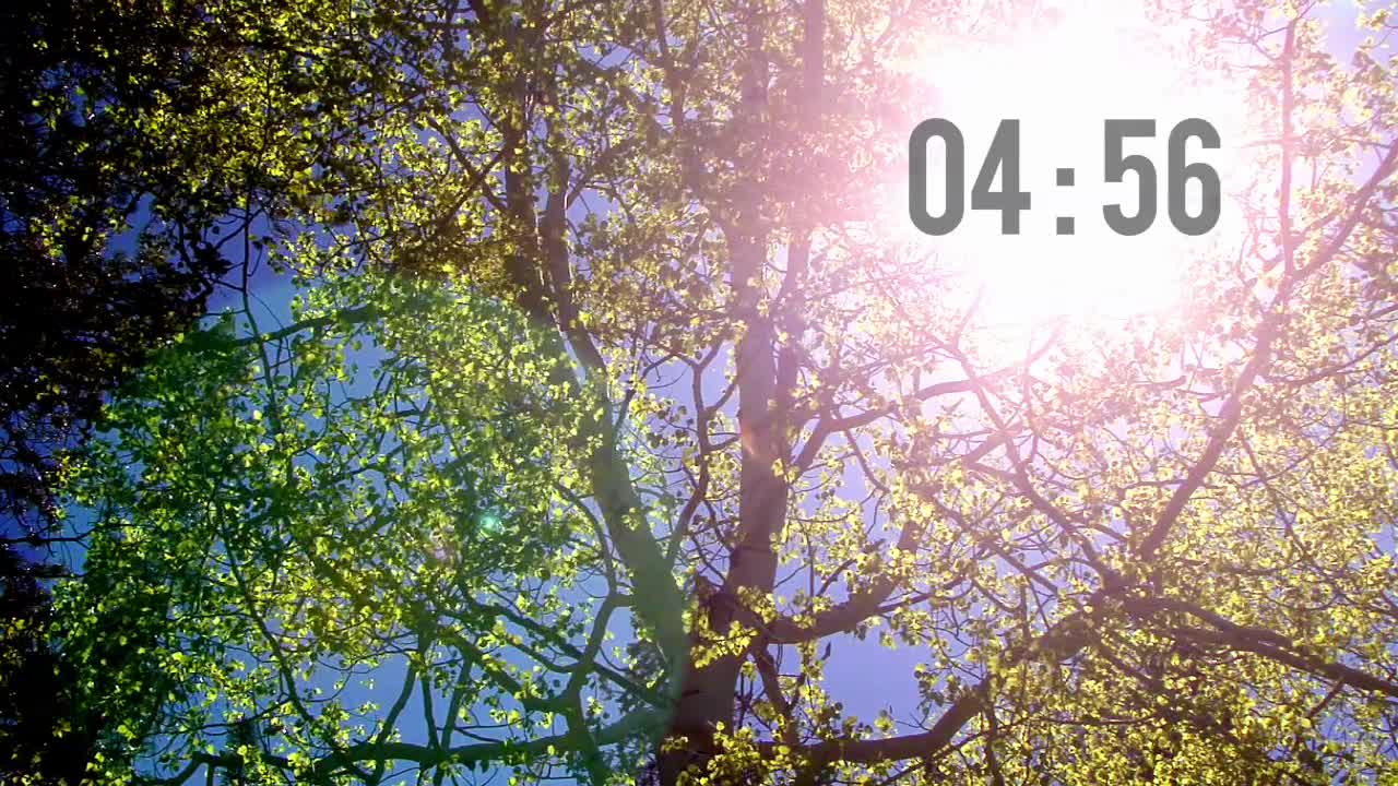 Bright Tree Countdown