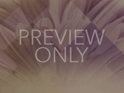 Pastel Flower 2