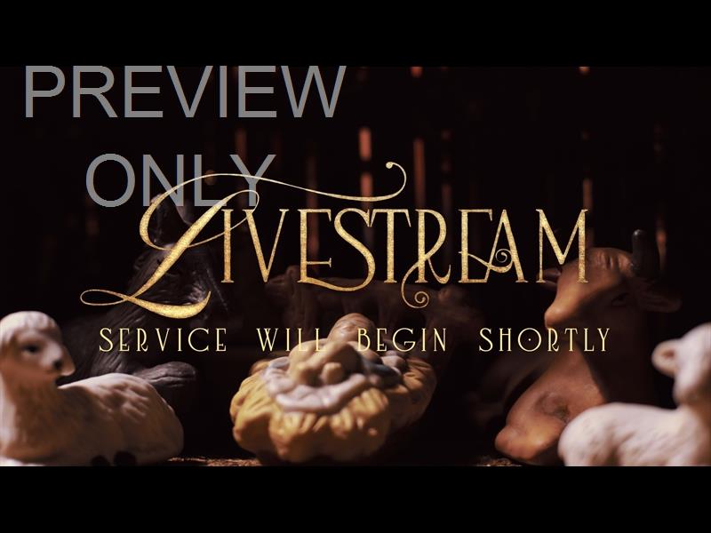 In A Manger Livestream Still