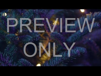Christmas Pines Purple Teal