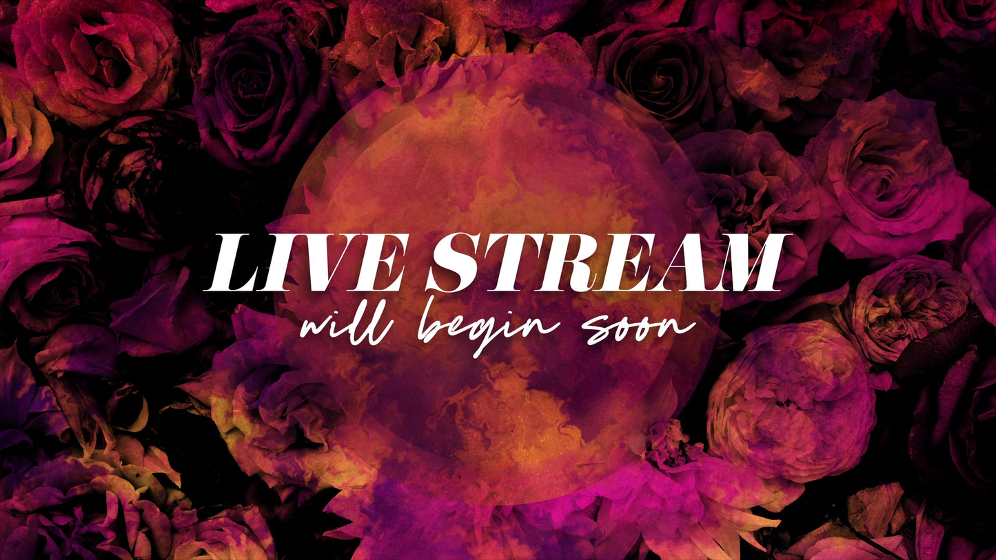 Floral Paint Live Stream Still