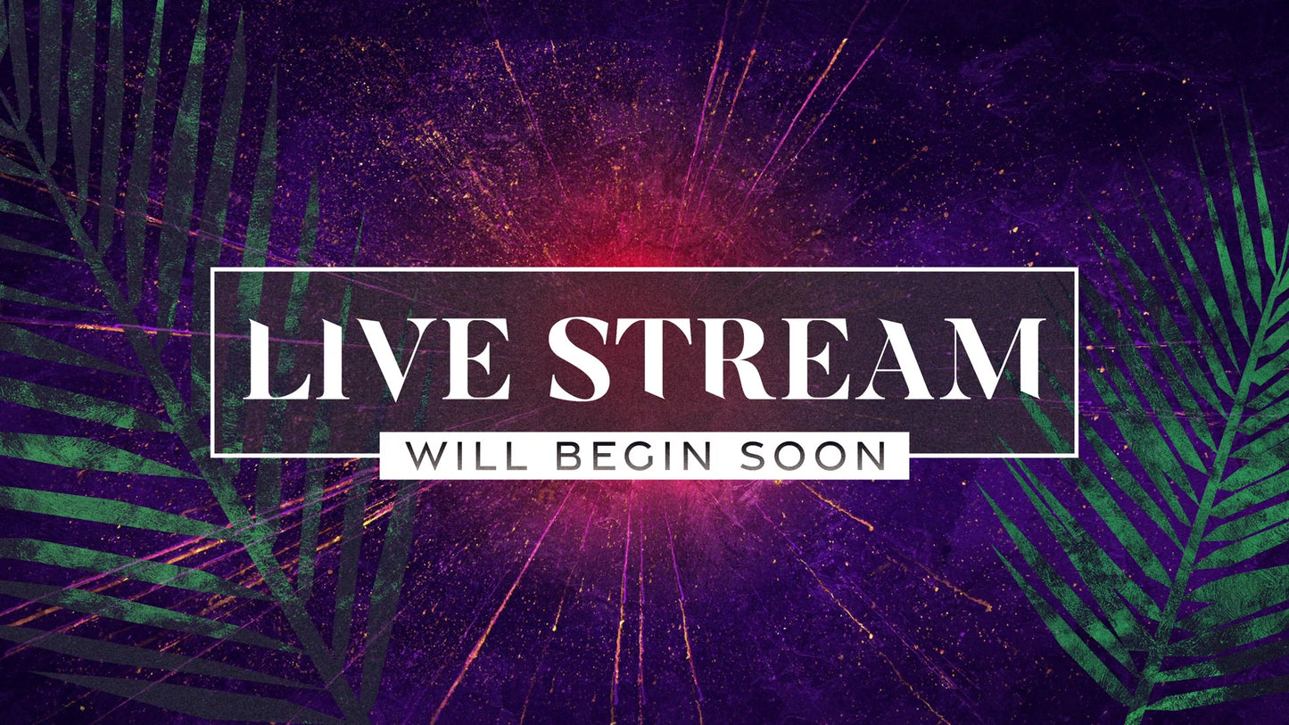 Vivid Palm Sunday Live Stream Still