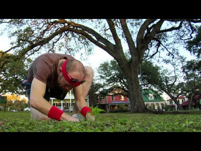 Don't Waste Your Year