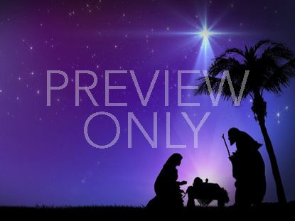 Nativity Night