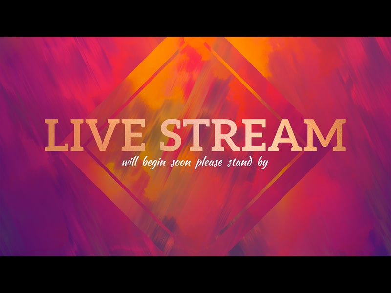 Painted Fall Live Stream