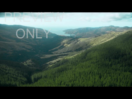 Aerial Bliss 3 Still