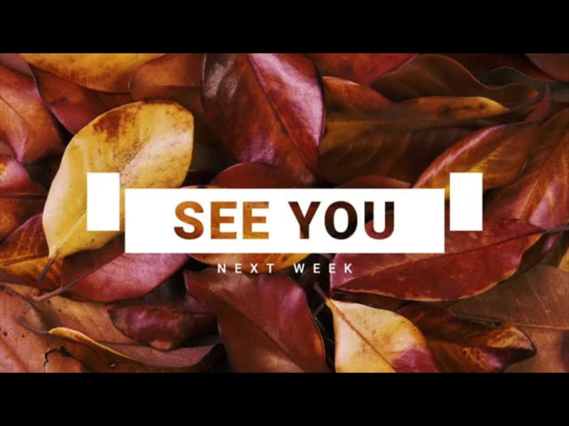 Autumn Leaves See You Next Week