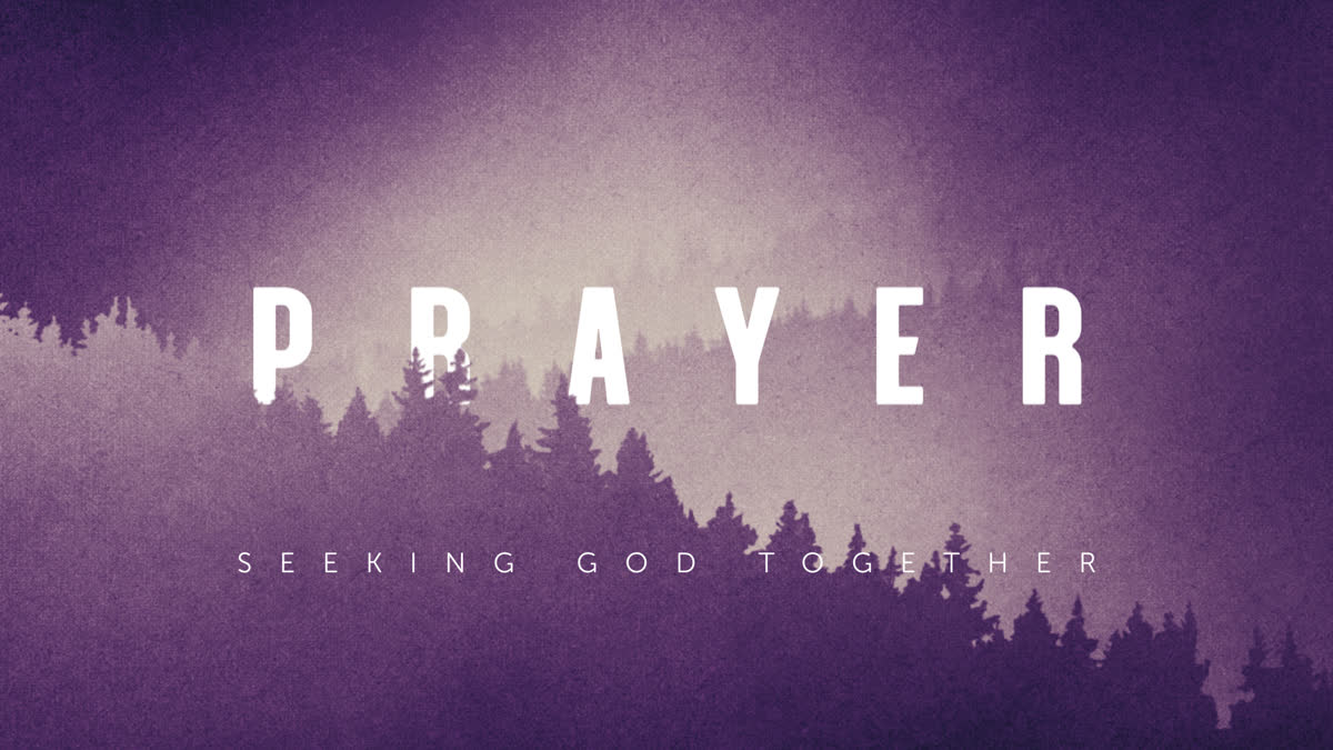 Timberline Still Prayer