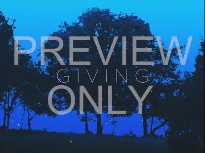 Fireflies Giving Title 2