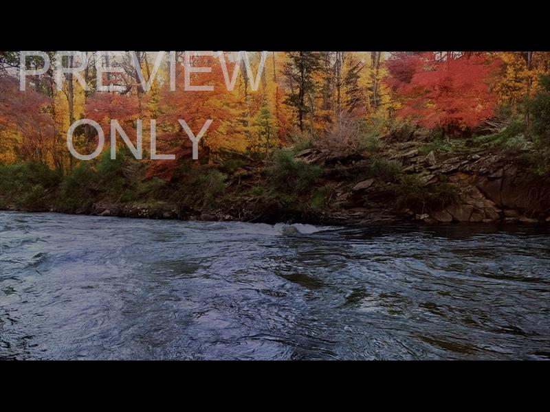 Northwest Fall 13 Still