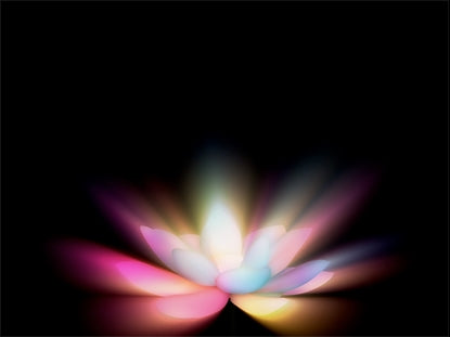 Fireflower 1