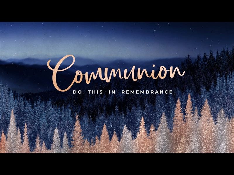 Sparkling Trees Communion