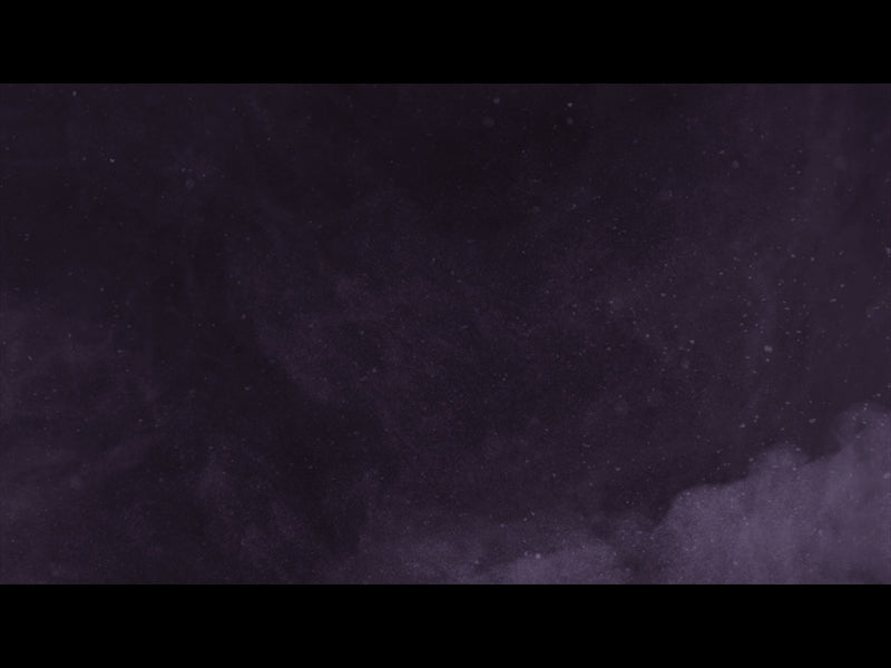 Winter Luster: Loop 10