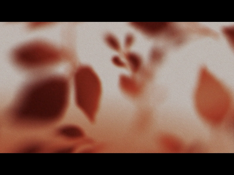 Autumn Again Loop 06