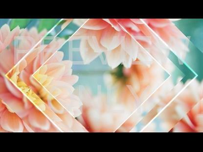 Newspring 5 Graphic