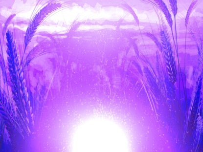 Harvest Sowing 5 Motion