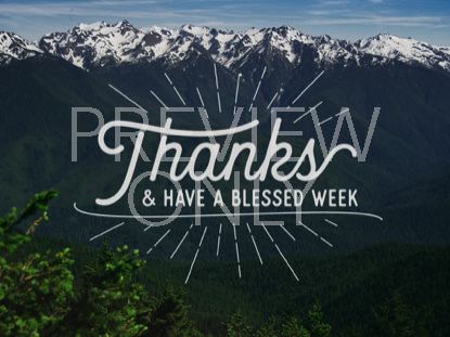 Mountain Pines Thanks