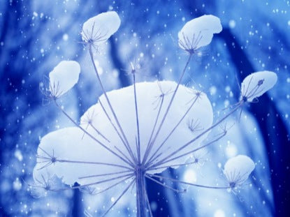 Snow 2