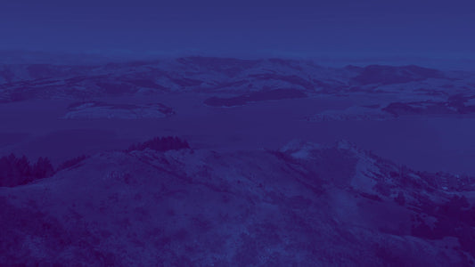 Peaceful Flight 5 Tint Still