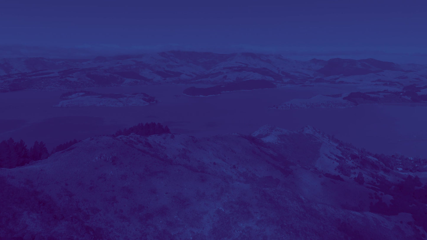 Peaceful Flight 5 Tint