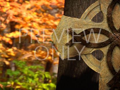 Fall Footage Celtic Cross
