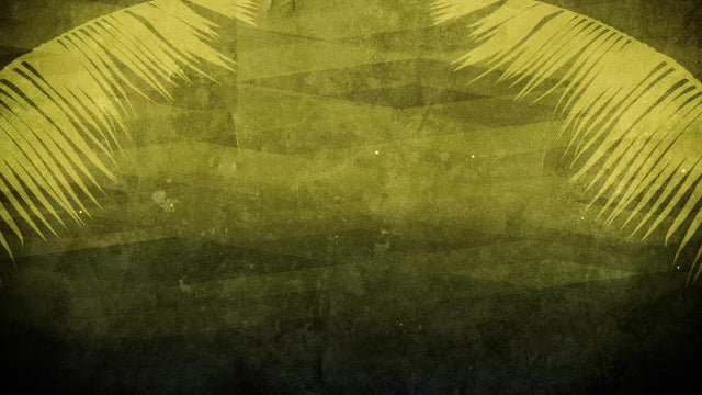 Subtle Palm Sunday Motion 01