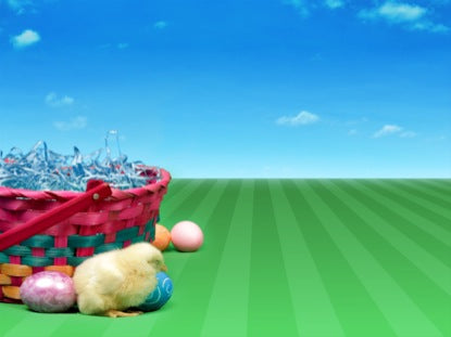 Baby Chick Easter Basket