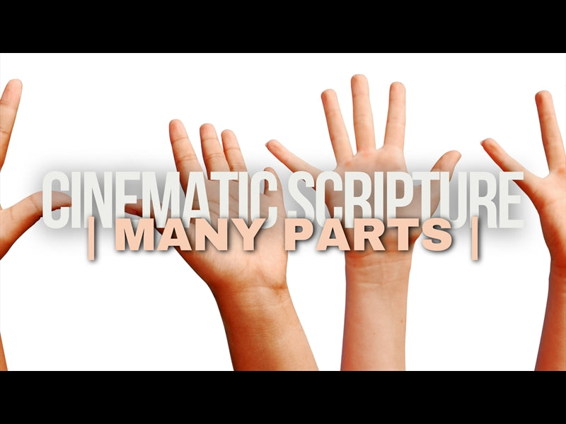 Cinematic Opener: Many Parts
