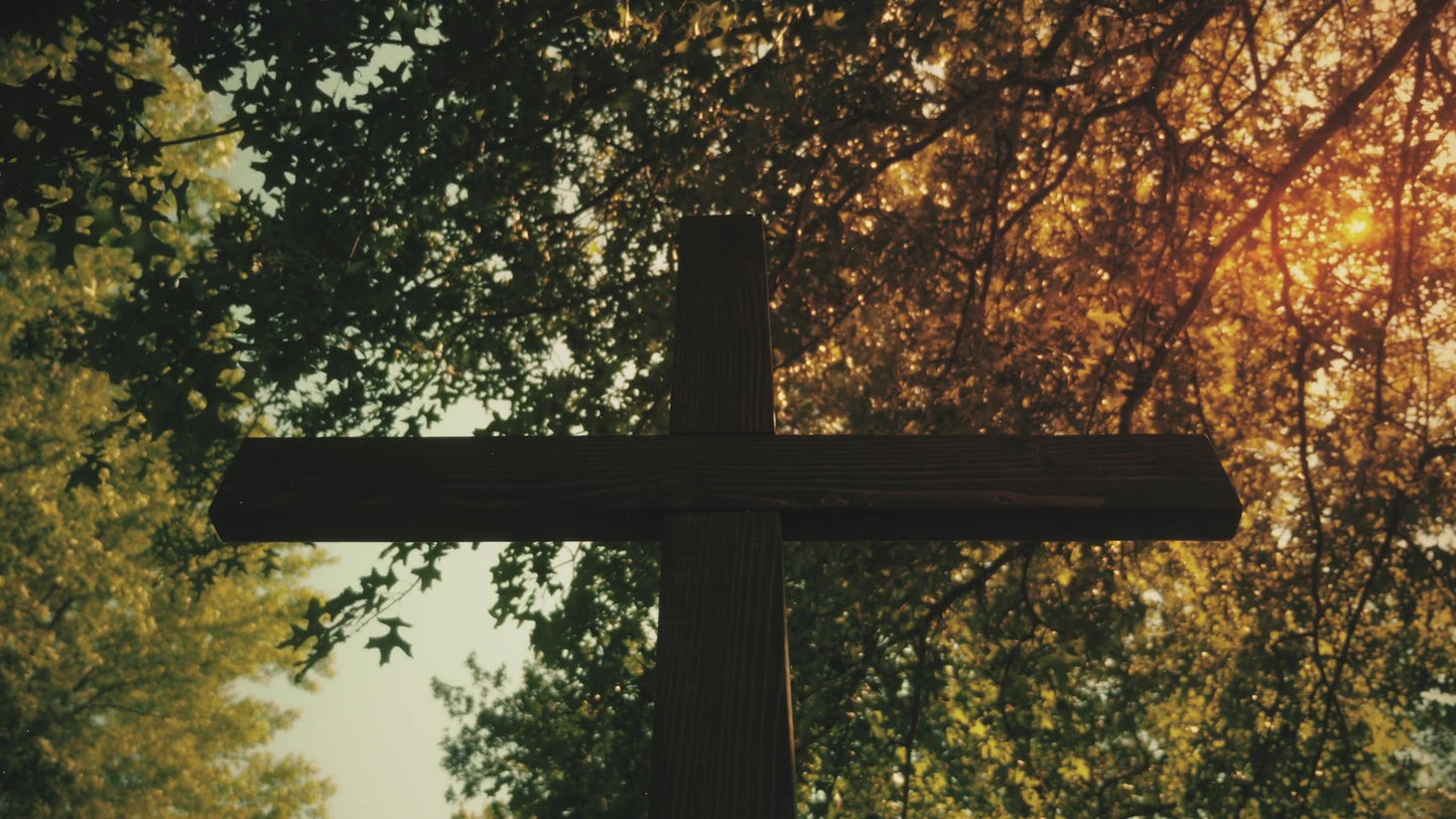 Cross 8 Still