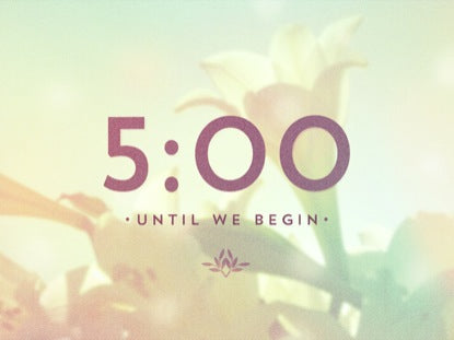 Lilies Countdown