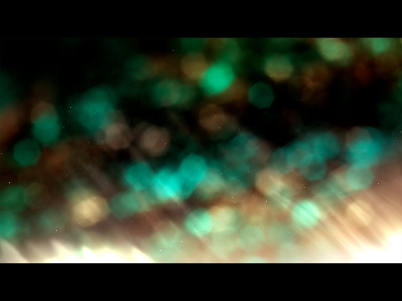 Christmas Light: 4