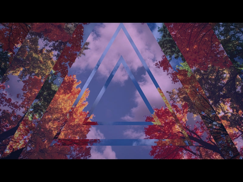 Fall Trees 6 Remix