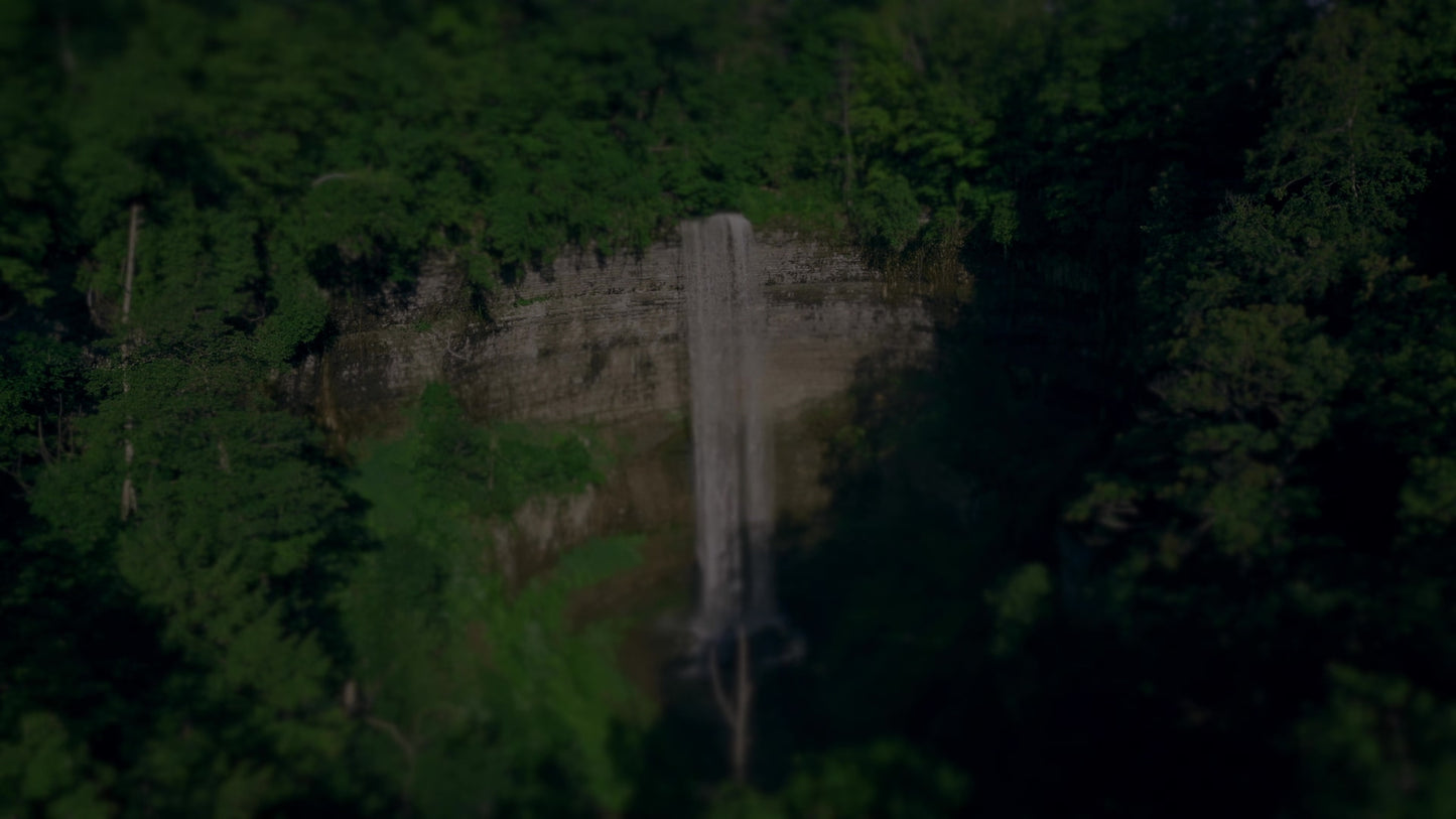 Nature'S Force 9 Darken