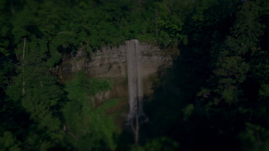 Nature'S Force 9 Darken