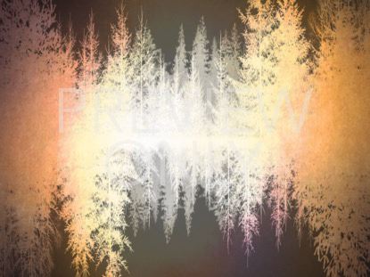 Natures Beauty 2 Still