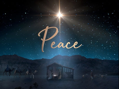 Starry Night Nativity Peace