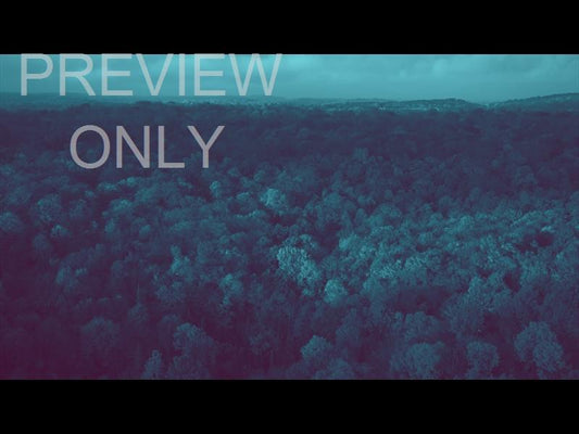 Epic Autumn Aerial Reverse Cool