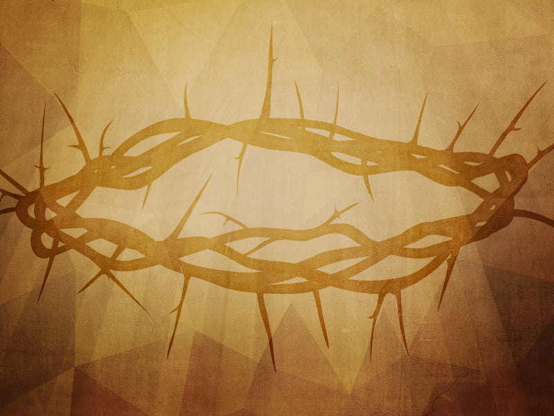 A Life Of Sacrifice Motion 1