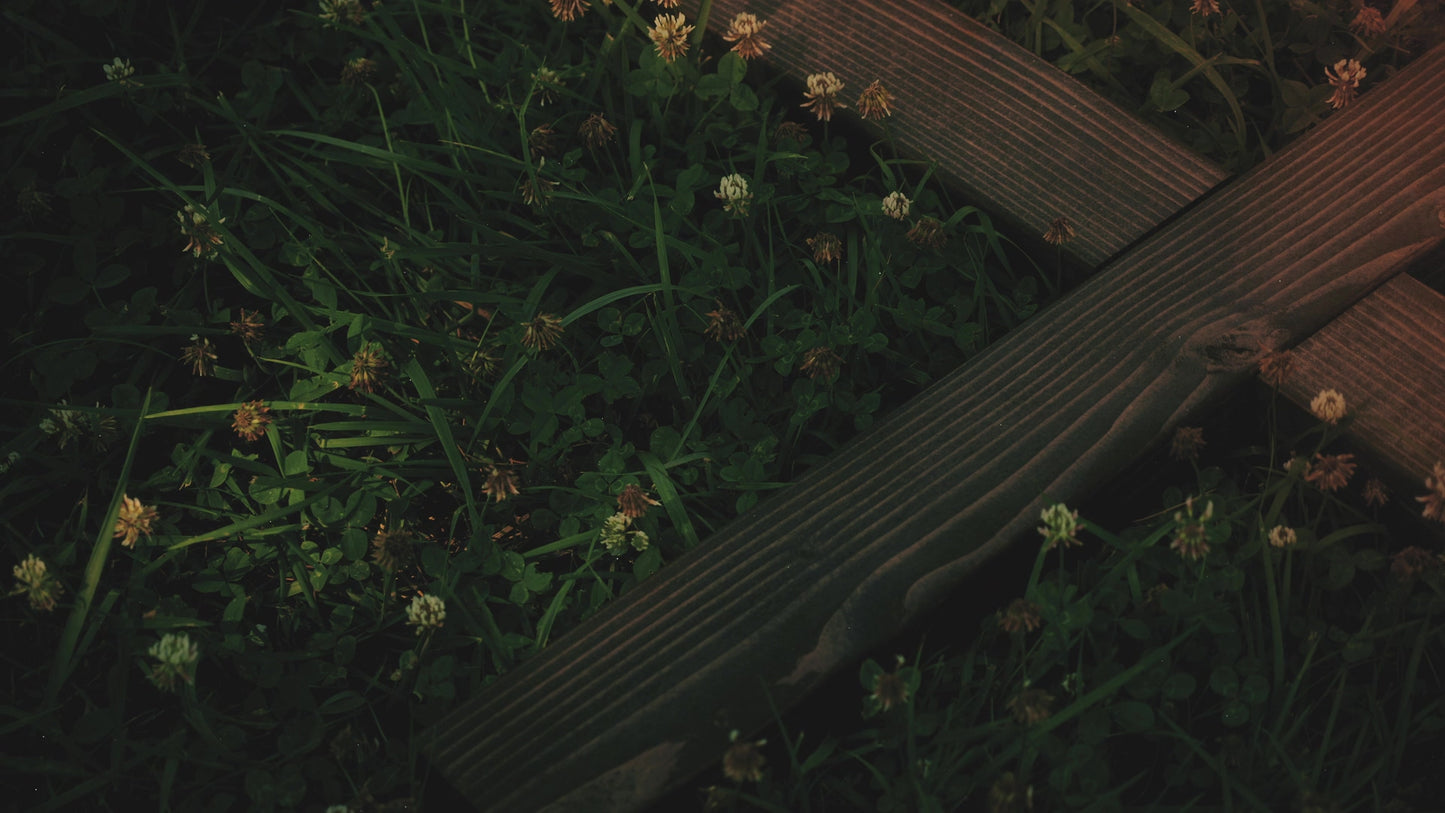 Nature Cross 4