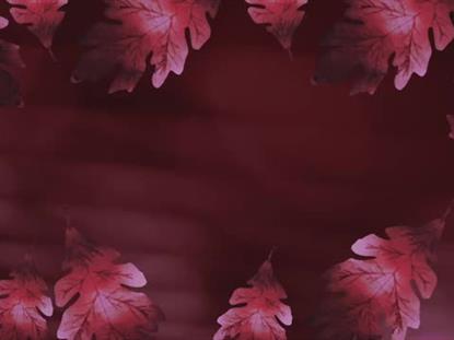 Autumn Glow Motion 3