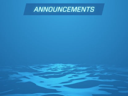 Digital Waves Announcements