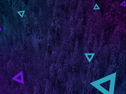 Dense Snowy Forest Triangles