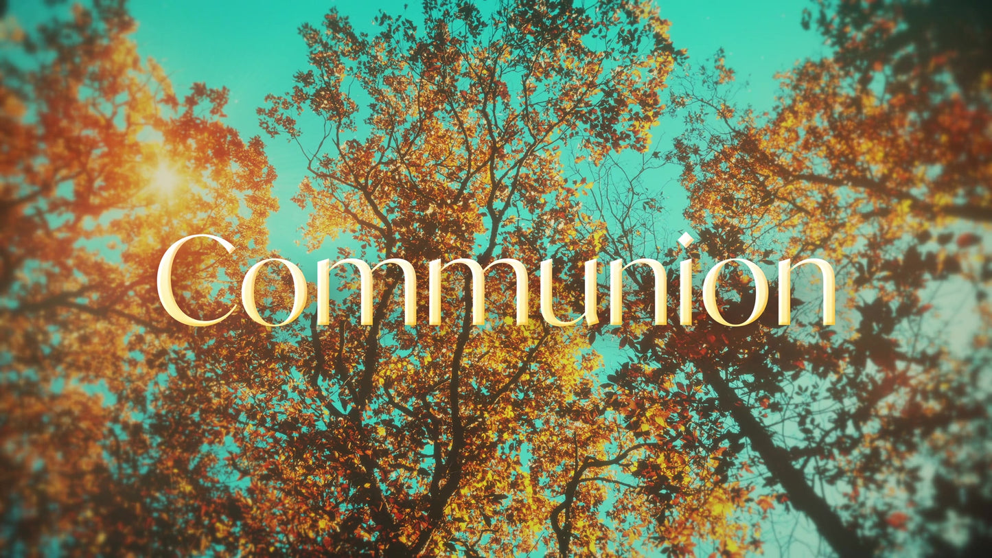 Autumn Canopies Communion Still