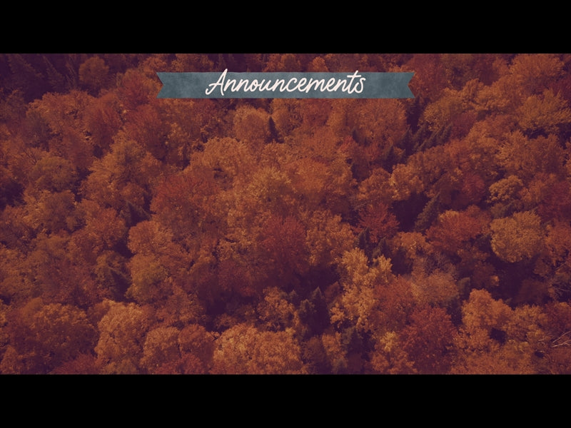 Epic Autumn Aerial Announcements